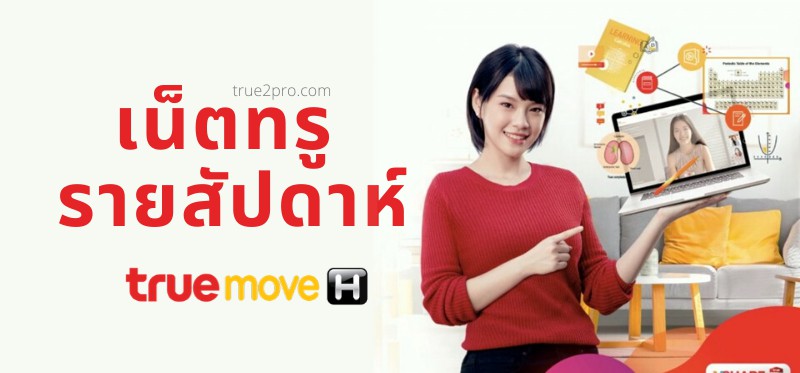 True à¸£à¸§à¸¡ 10 à¹‚à¸›à¸£à¸® à¸• à¹€à¸™ à¸•à¸—à¸£ à¸£à¸²à¸¢à¸­à¸²à¸— à¸•à¸¢ à¸£à¸²à¸¢à¸ª à¸›à¸